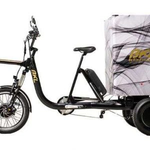 Cargo bike electrica BKL Box 450 Compact Triciclo