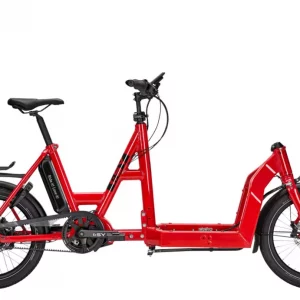 CargoBike i SY Bike Electrica de carga