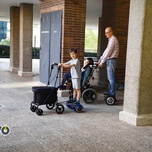 Ver carritos electricos para personas con movilidad reducida