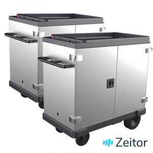 Carros electricos para reparto