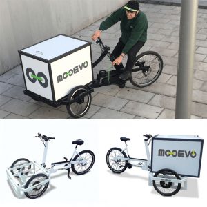 Triciclo Electrico Cargo Bike