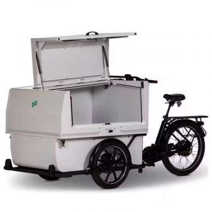 CargoBike Eléctrica Cargo Cycling Centurion Gran Capacidad