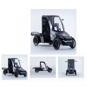 Citkar Pick-Up Cuadriciclo de Pedaleo Asistido para Carga