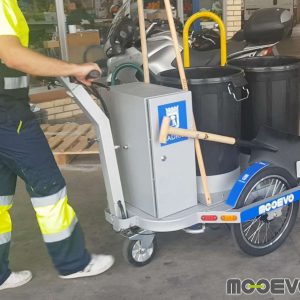 Ver carrito de barrendero electrico
