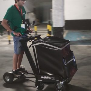 Ver carrito para personas con movilidad reducida