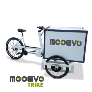 Cargo Bike Triciclo de Carga Manillar Basculante Mooevo