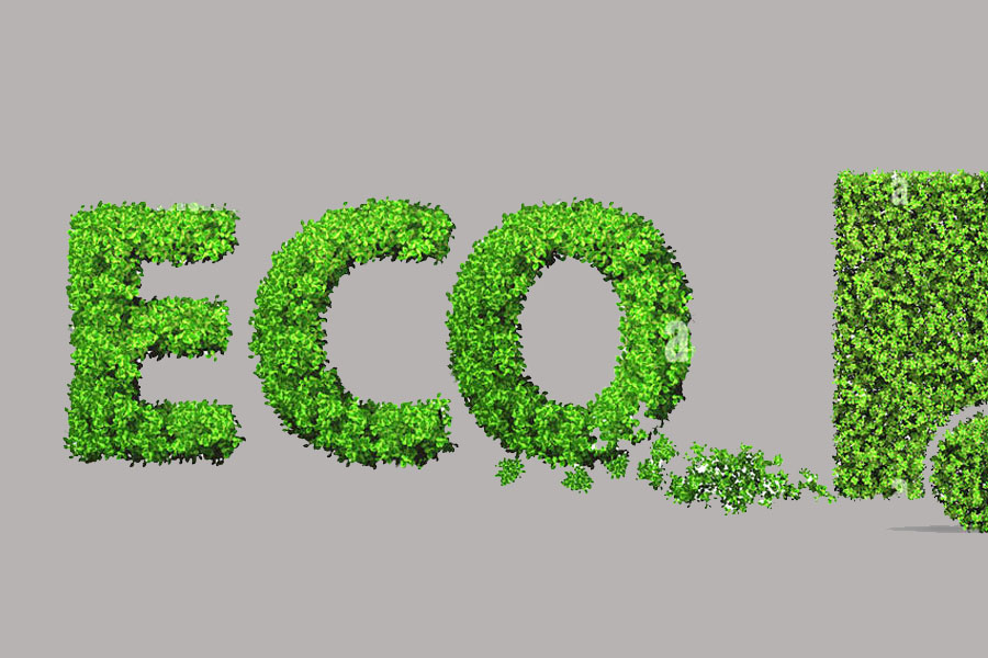 movilidad 360 eco flota